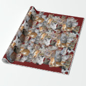 Cats meeting point geschenkpapier (Ungerollt)
