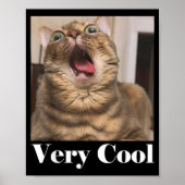 Cats Meme Graphic Silly Cat Humor Funny Cat Very C Poster (Vorne)