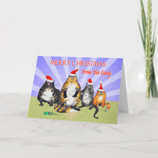 Cats, Merry Christmas from the gang, humor Feiertagskarte