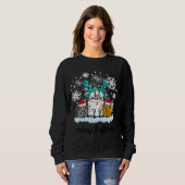 Cats Merry Fluffmas lustige Weihnachtskostüme Sweatshirt (Vorne ganz)