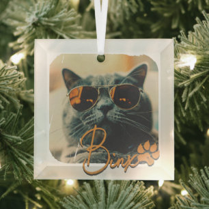 Cat's Modern Simple Cool Grunge Name and Foto Ornament Aus Glas