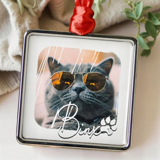 Cat's Modern Simple Cool Grunge Name and Foto Ornament Aus Metall