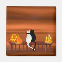 Cats Pumpkins Candles Halloween