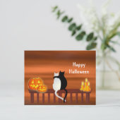 Cats Pumpkins Candles Halloween Postcard Postkarte (Stehend Vorderseite)