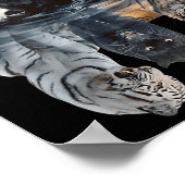 Cats Reflection Mirror Lion Cheetah Tiger Funny Ca Poster (Ecke)