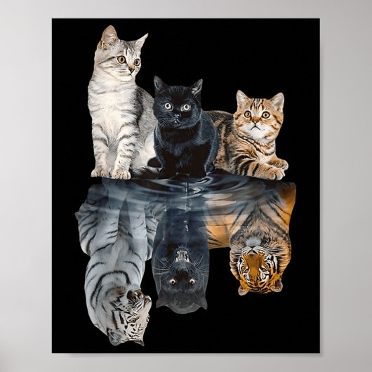 Cats Reflection Mirror Lion Cheetah Tiger Funny Ca Poster (Vorne)