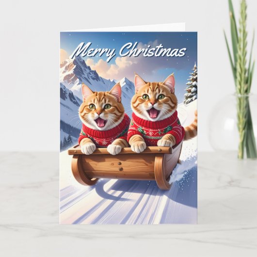 Cats Sled Ride Weihnachten Karte (Vorderseite)