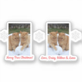 Cats Snowball, Image Names Text, Customize,  Aufkleber (Vorderseite)