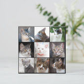 CATS-Vorlage - Foto ändern (Stehend Vorderseite)