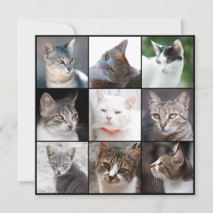 CATS-Vorlage - Foto ändern
