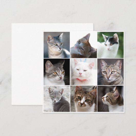 CATS-Vorlage - Foto ändern (Vorne/Hinten)