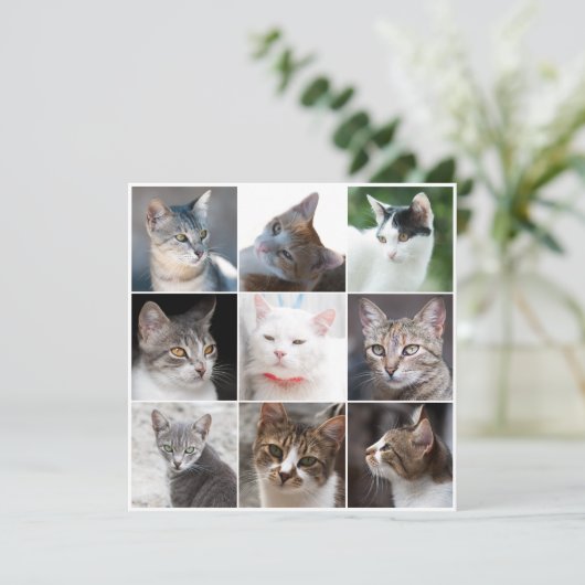 CATS-Vorlage - Foto ändern (Stehend Vorderseite)