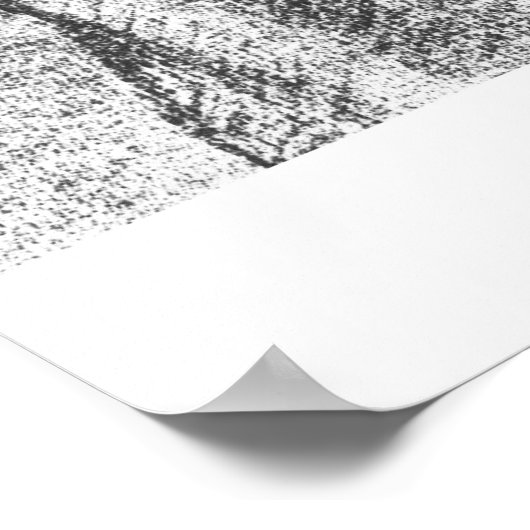 CATSABLANCA POSTER (Ecke)