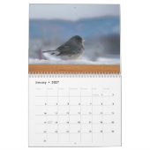 Catskill Kalender (Jan 2027)