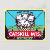 Catskill Mountains, New York Postcard Postkarte (Vorderseite)