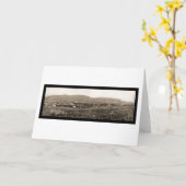 Catskill Mts Foto 1898 Jäger-NY Karte (Gelbe Blume)