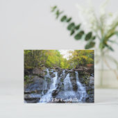 CatSkills Postkarte 1 (Stehend Vorderseite)