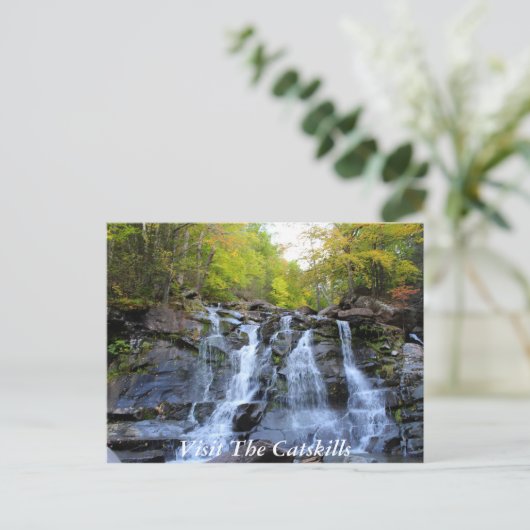 CatSkills Postkarte 1 (Stehend Vorderseite)