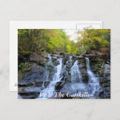 CatSkills Postkarte 1 (Vorne/Hinten)
