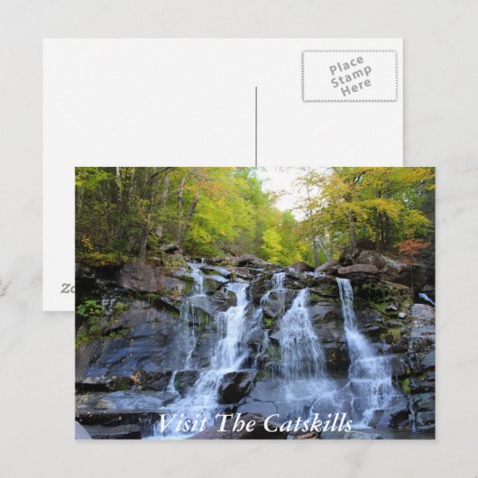 CatSkills Postkarte 1 (Vorne/Hinten)
