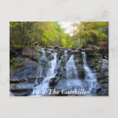CatSkills Postkarte 1 (Vorderseite)