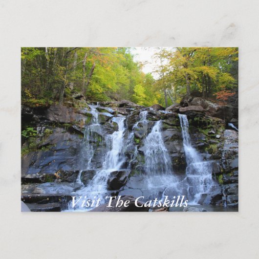 CatSkills Postkarte 1 (Vorderseite)