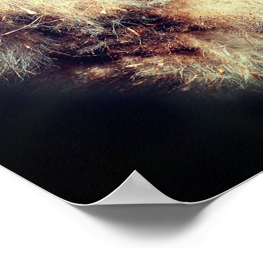 Cattail Fluff Nah Poster (Ecke)