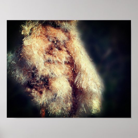 Cattail Fluff Nah Poster (Vorne)
