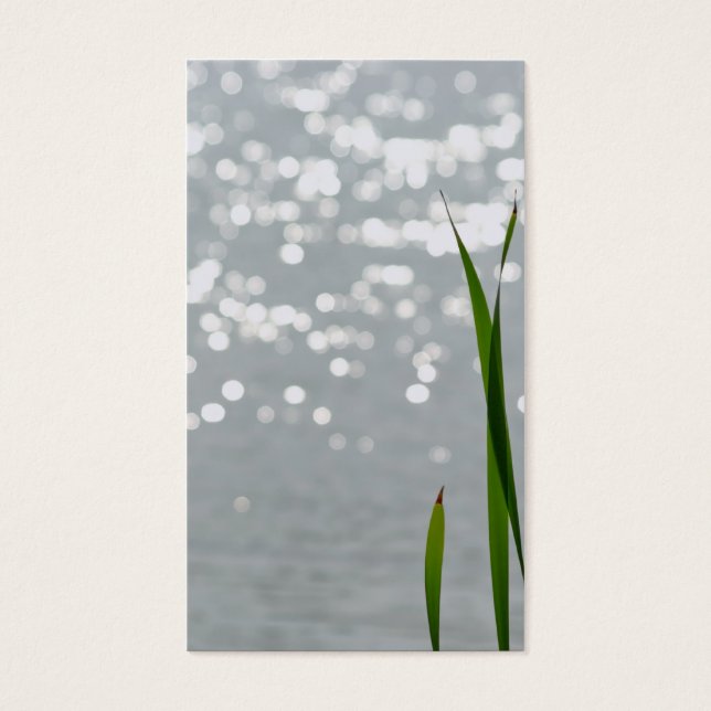 Cattail in Front of Lake (Vorderseite)