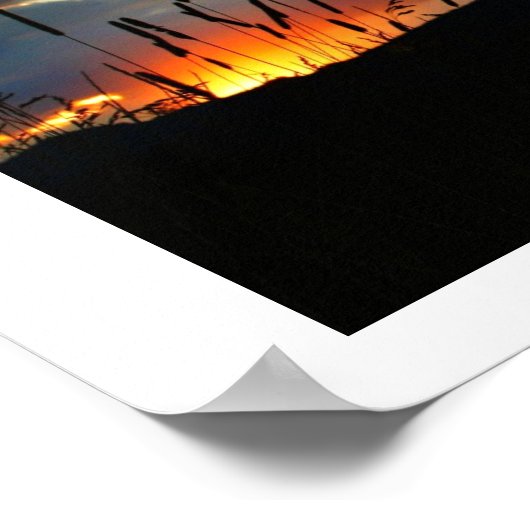 CatTail Sunrise Poster (Ecke)