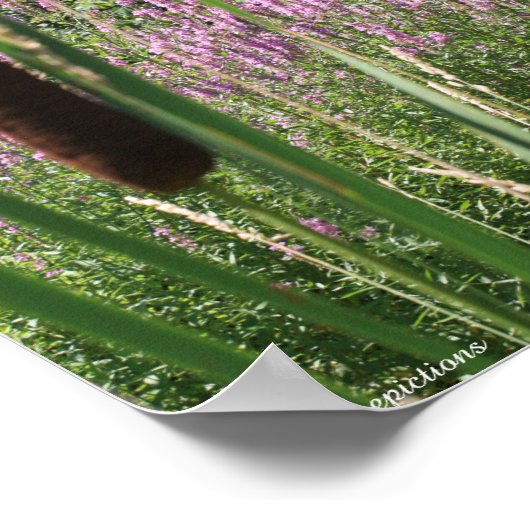 Cattail & Wildblume Inspiration Poster (Ecke)