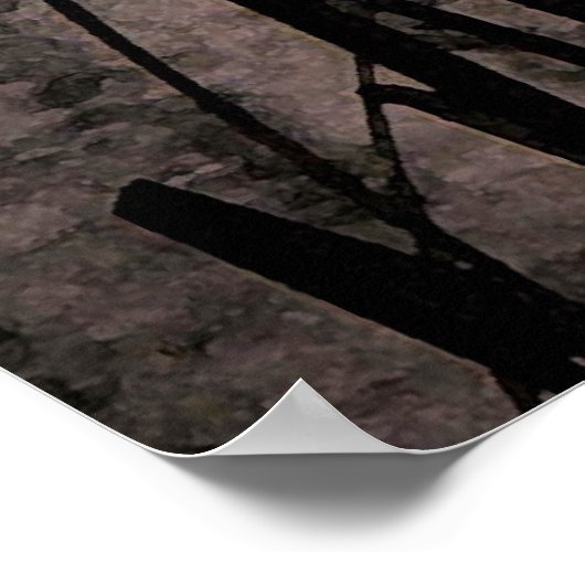 Cattails bei Sunset Poster (Ecke)