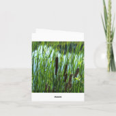 Cattails in dem Teich, Beileid Karte (Rückseite)