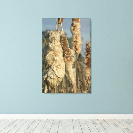 Cattails Leinwand (Insitu (Holzboden))