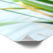 Cattails Poster (Ecke)