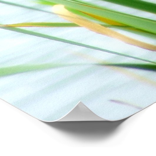 Cattails Poster (Ecke)