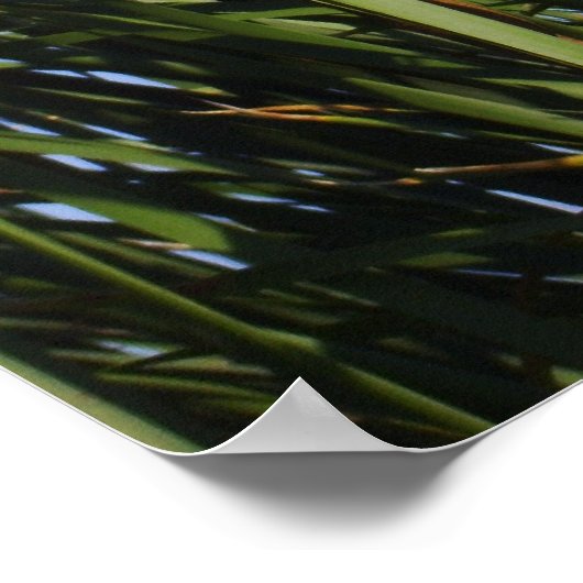 Cattails Poster (Ecke)