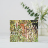 Cattails Postkarte (Stehend Vorderseite)