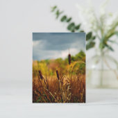 Cattails Postkarte (Stehend Vorderseite)