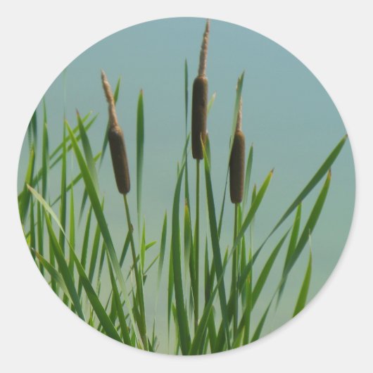 Cattails Runder Aufkleber (Vorderseite)