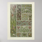 Cattails Wasser Lilien von Anton Seder Poster (Vorne)