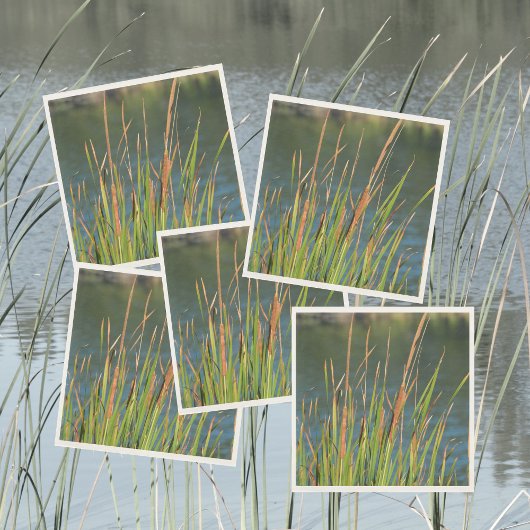 Cattails Wasserfront Fotosee Serviette