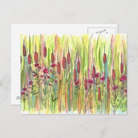 Cattails Wildblumen Wasserfarbe Zeichnend Postkarte (Vorne/Hinten)