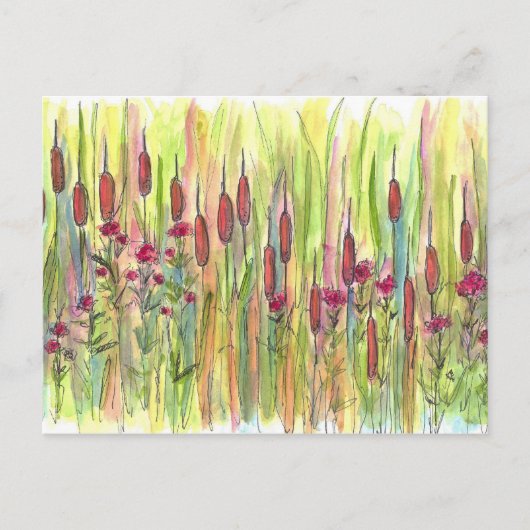 Cattails Wildblumen Wasserfarbe Zeichnend Postkarte (Vorderseite)