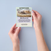 Cattery Flyer Chic und Simple (Gruppe)