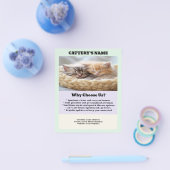 Cattery Flyer Chic und Simple (Einzeln)