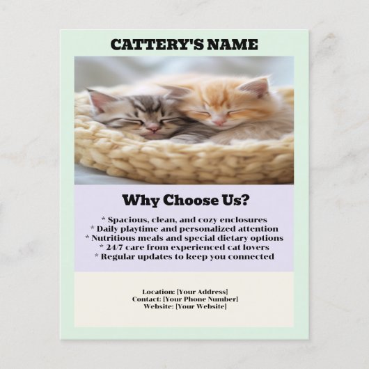 Cattery Flyer Chic und Simple (Vorne)