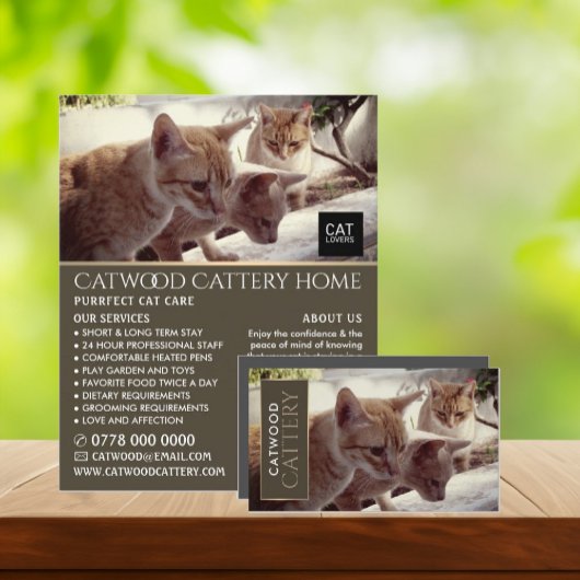 Cattery, Pet Boarding Service Visitenkarte