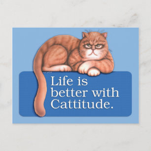 Cattitude Postkarte