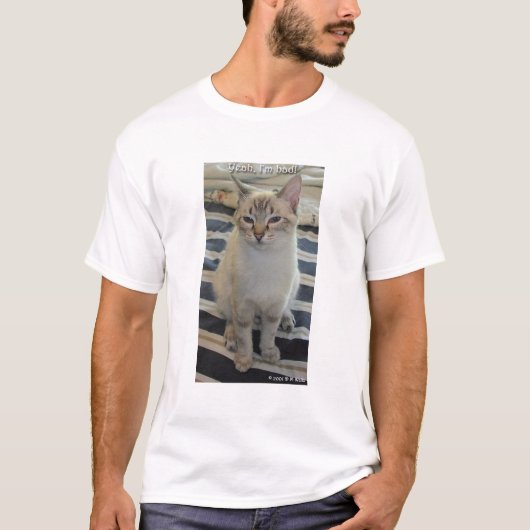 Cattitude T-Shirt (Vorderseite)